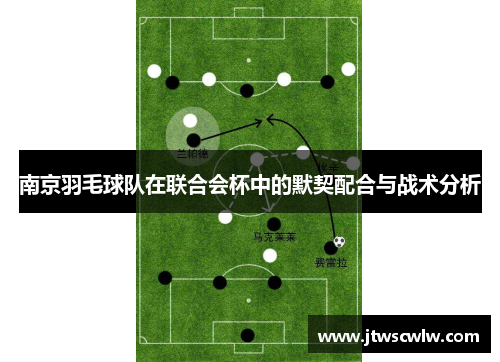 南京羽毛球队在联合会杯中的默契配合与战术分析